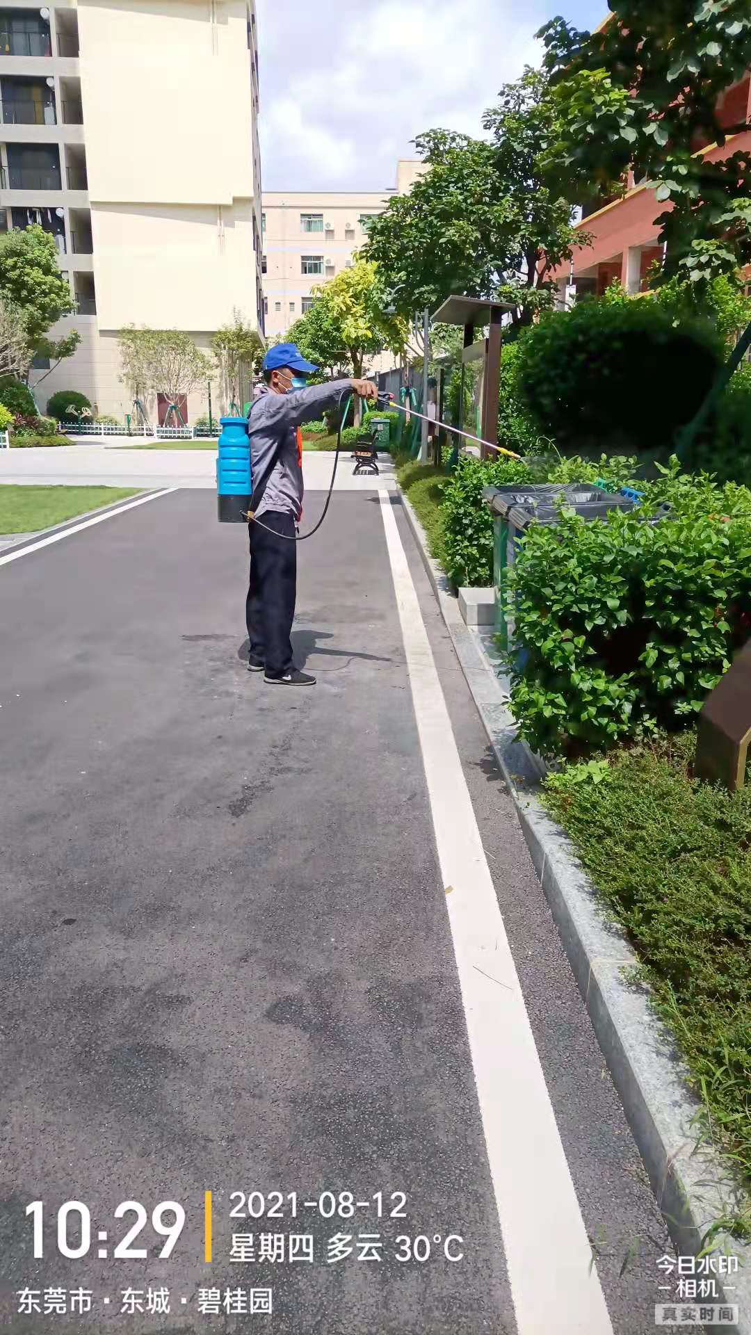 <b>住宅区专业灭蚊虫</b>