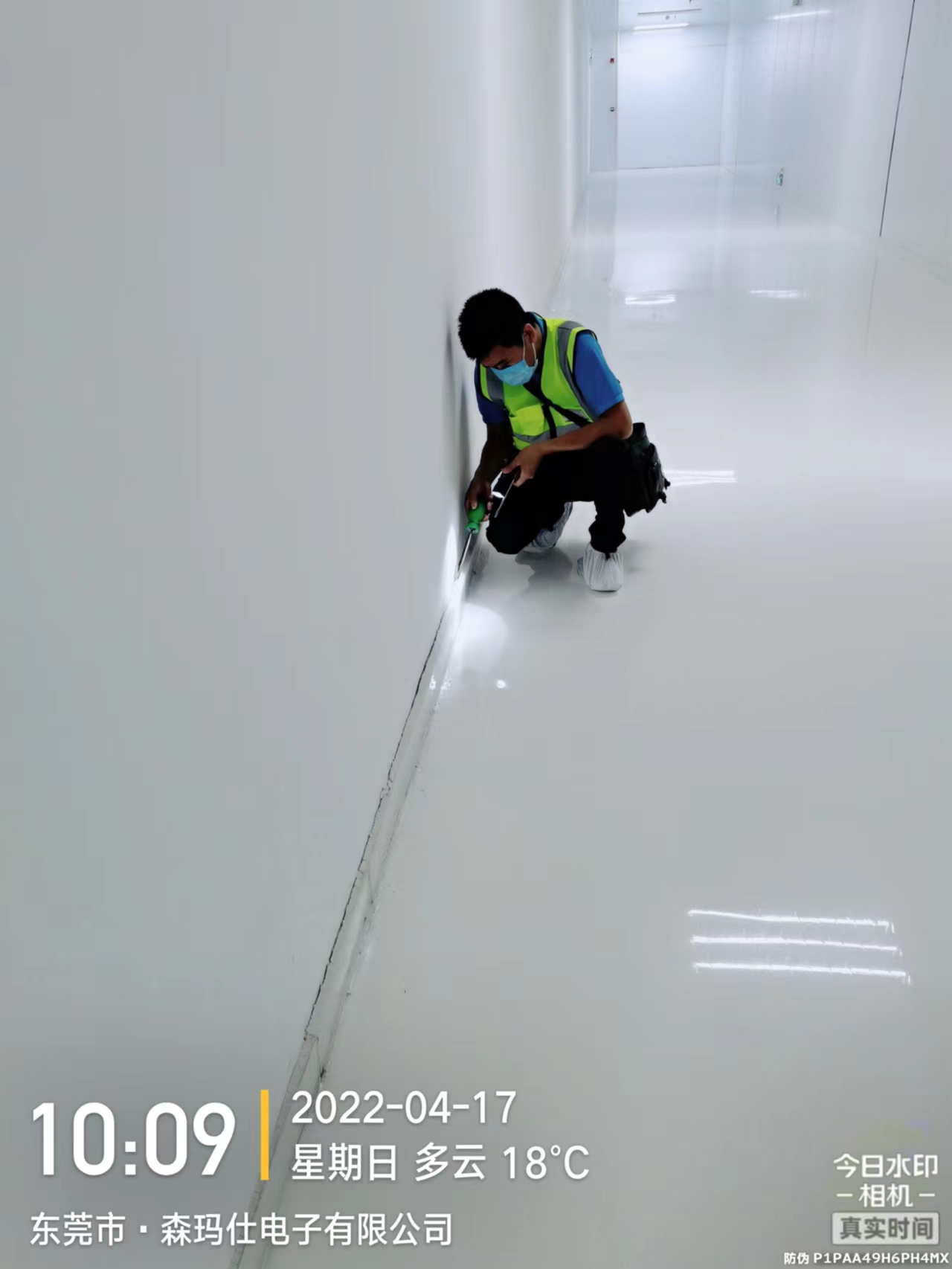 <b>工厂查白蚁</b>