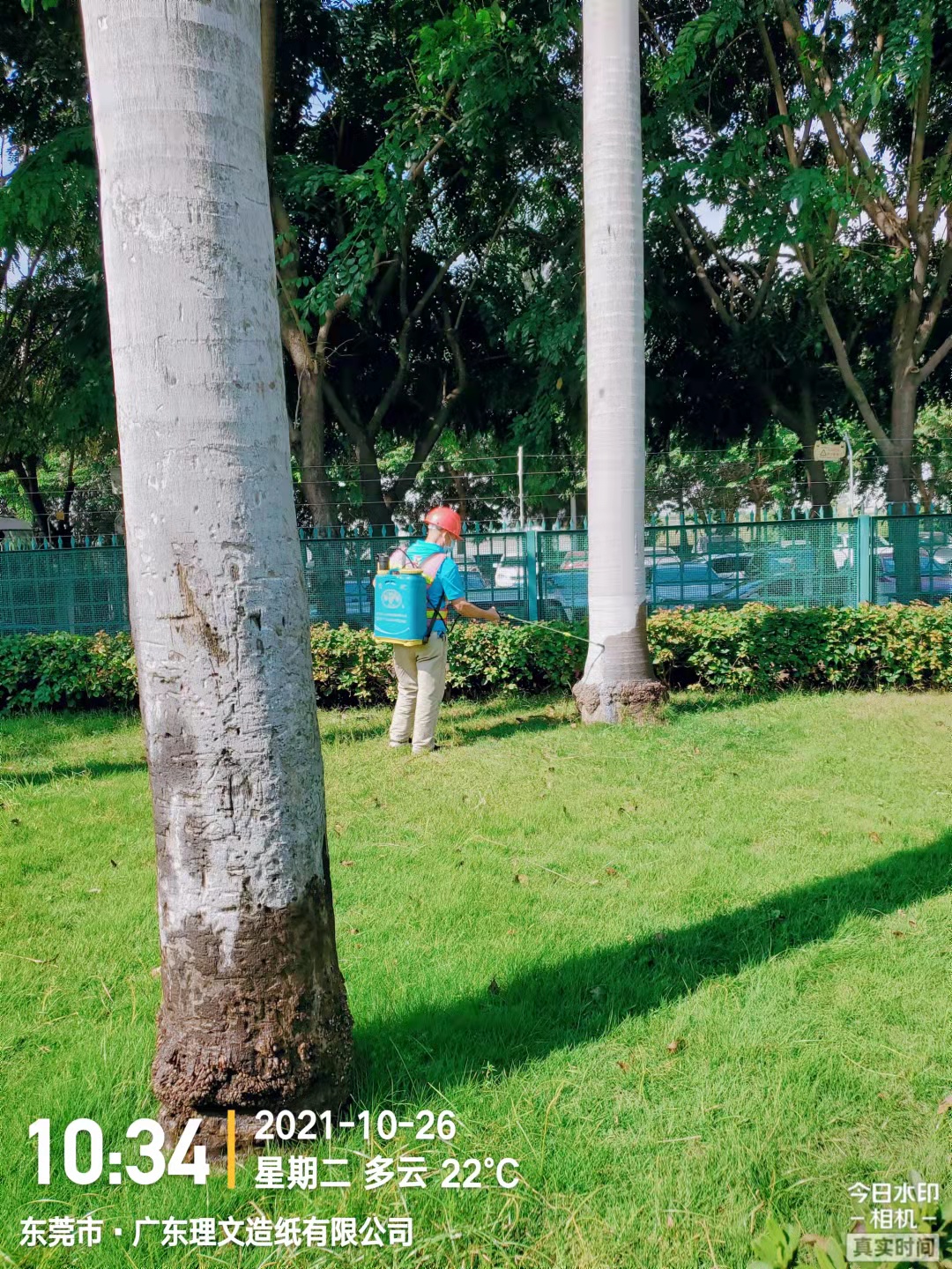 <b>工厂园区杀白蚁</b>