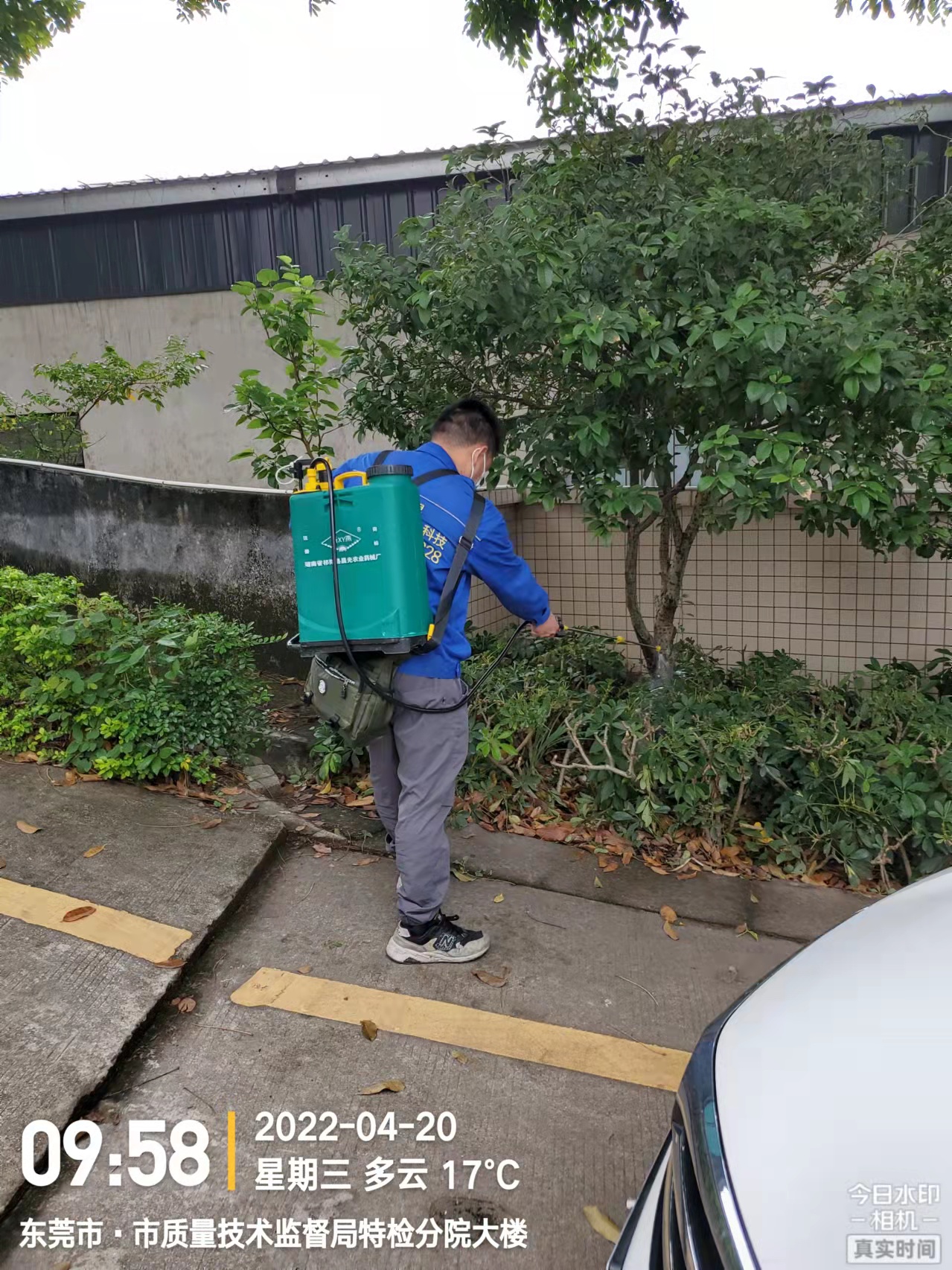<b>白蚁的危害</b>