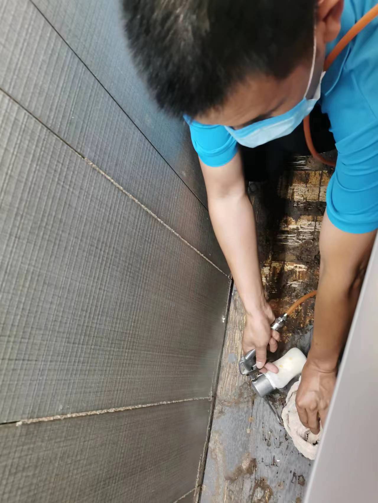 <b>展厅灭白蚁</b>