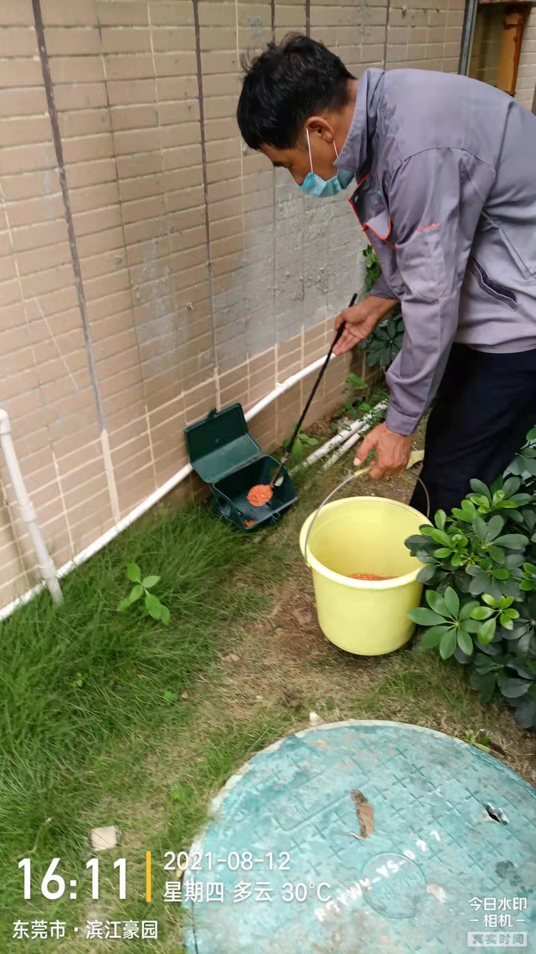 <b>滨江豪园灭鼠</b>