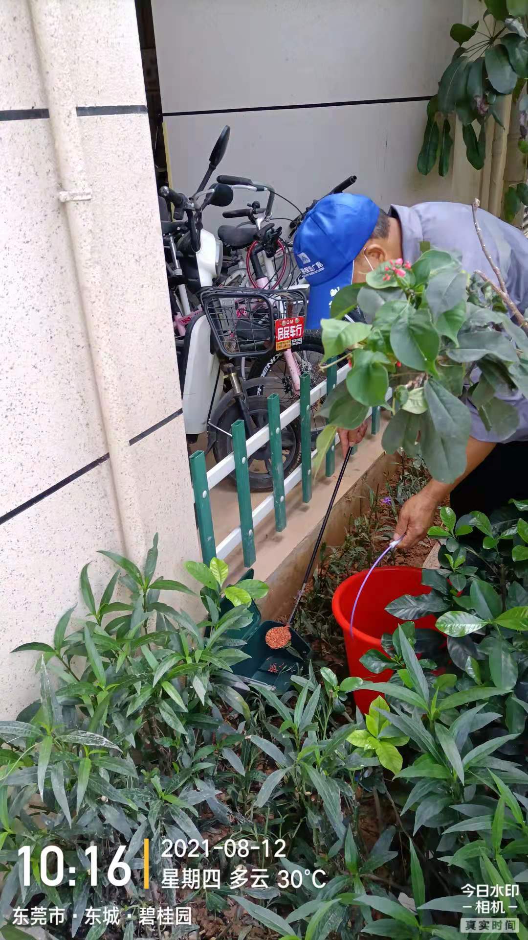 <b>小区灭鼠</b>