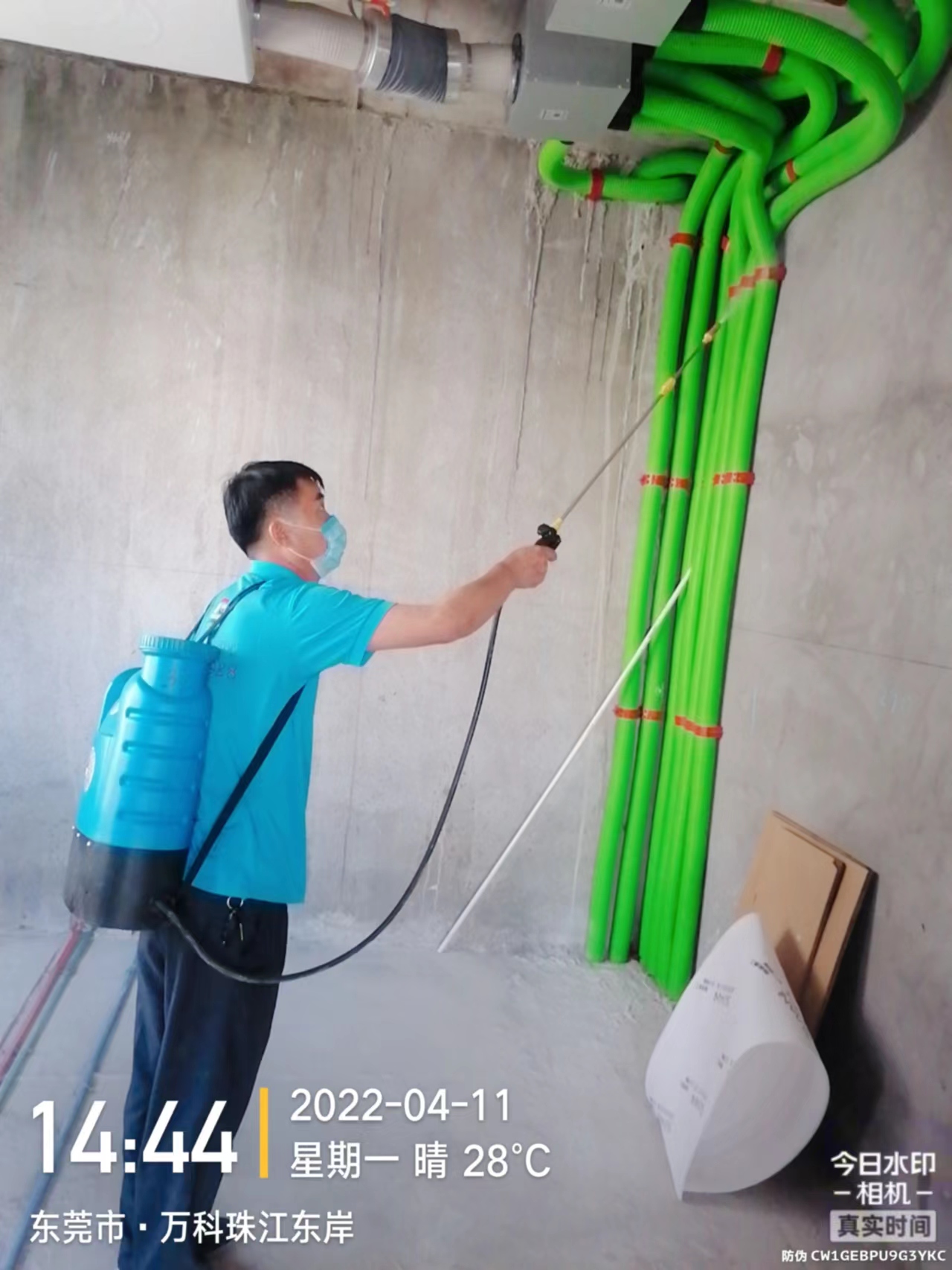 <b>装修前预防白蚁</b>