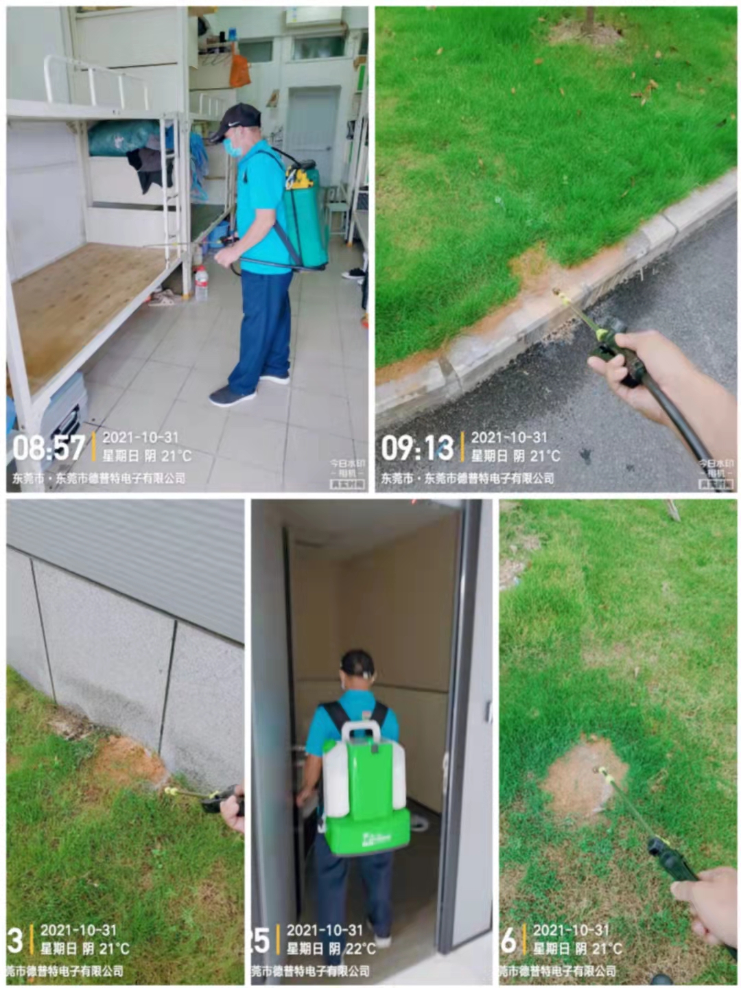 <b>工厂灭红火蚁</b>